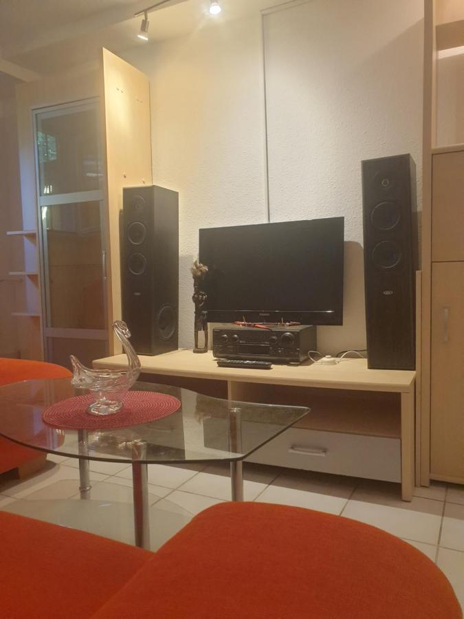 Sions Grosse Ferienwohnung Ferienwohnung Mit 3 Schlafzimmer, 2 Km Bis Zum Europapark Rust Kappel-Grafenhausen Ngoại thất bức ảnh